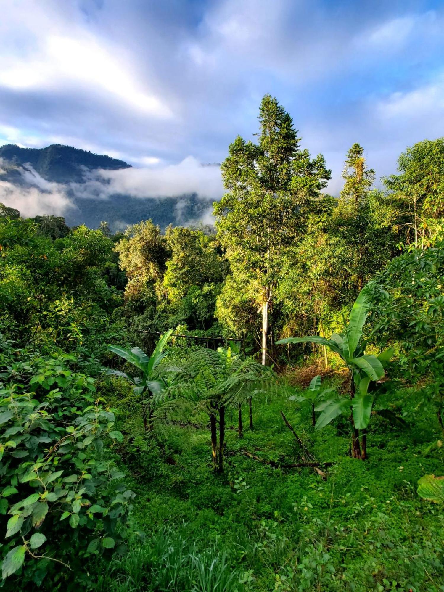 Sendero De Las Aves Mindo Exterior photo